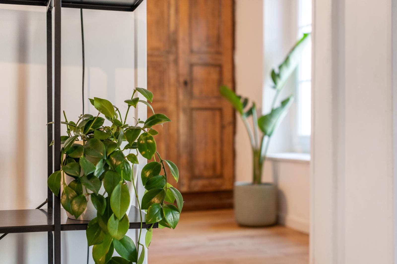 Annexe Villa des Crozes — Après travaux